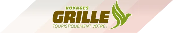 TRANSPORTS GRILLE (CARS GRILLE)