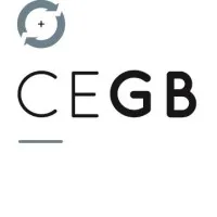 CEGB EXPERTISE COMPTABLE ET AUDIT (CEGB)