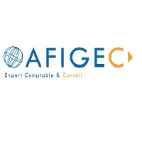 AUDIT FINAN INFOR GEST EXPERT (AFIGEC)