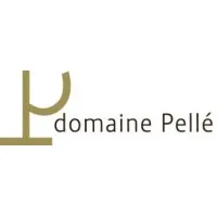 SCEA DOMAINE HENRY PELLE