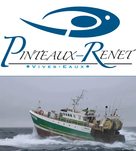 PINTEAUX RENET