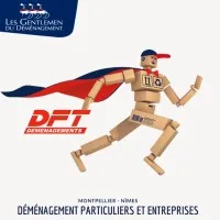 SARL DFT (DEMENAGEMENTS FRANCOIS TAILLEUR)