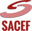 SOCIETE D ANALYSE COMPTABLE ECONOMIQUE ET FINANCIERE (SACEF)