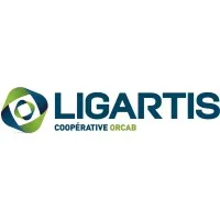 LIGARTIS