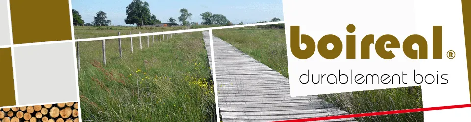 BOIREAL