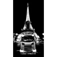 T.F.M.O STE TRANSPORTS FRIGORIFIQUES DES MONTS D'OR (TFMO)