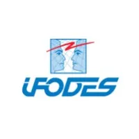 IFODES