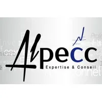 AUDIT LIASSE FISCALE PATRIMOINE EXPERTISE COMPTABILITE CONSEIL (ALPECC)