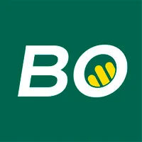 AUTOCARS BORINI
