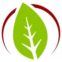 FSI FRANSKAN (FSI)