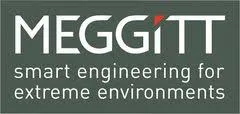 MEGGITT (SENSOREX)