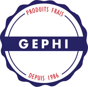 GEPHI