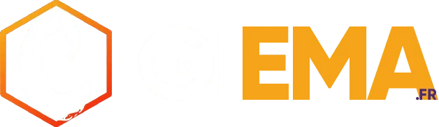 INFORMATIQUE GESTION INGENIERIE ELECTRON (CIGIEMA)