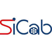 SOCIETE INDUSTRIELLE DE CABLAGE (SICAB)