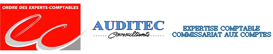 AUDITEC CONSULTANTS