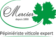 MERCIER FRERES (MERCIER FRERES)