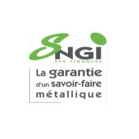 SOCIETE NOUVELLE GUILLARME INDUSTRIE (SNGI)