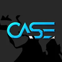 CABINET AUDIT STRATEGIE EXPERTISE (CASE)