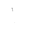 MUSCADE