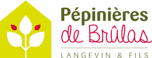 EARL PEPINIERES DE BRULAS