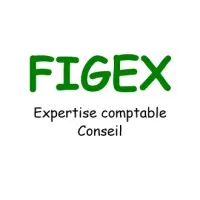 FIDUCIAIRE GESTION EXPERTISE COMPTABLE (FIGEX)