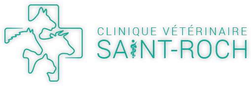 CLINIQUE VETERINAIRE SAINT ROCH - SOCIETE CIVILE PROFESSIONNELLE DES DOCTEURS COLIN-DALICHAMPT-POUTAS-ROPARS-VAN VLIERBE
