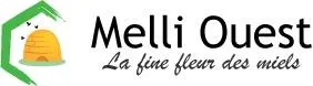 MELLI-OUEST INTERNATIONAL