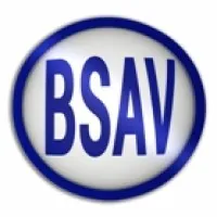 B S A V