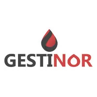 GESTINOR