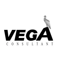 VEGA CONSULTANTS