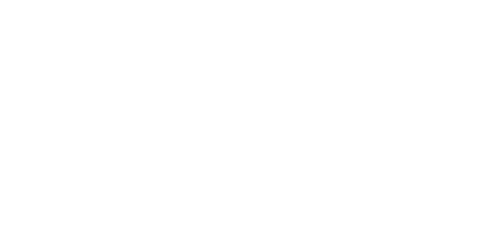 BOISSONNEAU WINES & SERVICES