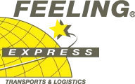 FEELING EXPRESS (FEELING EXPRESS)