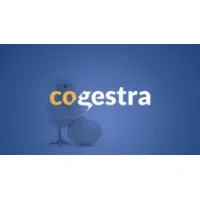 COGESTRA CONSEIL-GESTION-STRATEGIE