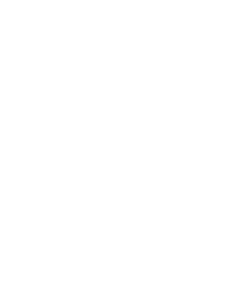 DELAN PATRICK ANTIQUITES