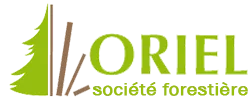 SOCIETE FORESTIERE ORIEL