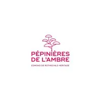 SCEA LES PEPINIERES DE L'AMBRE (LES PEPINIERES DE L AMBRE)