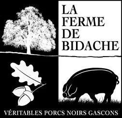 EARL DE VERONE