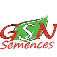 GSN SEMENCES
