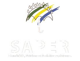 STE D'APPLICATION PEINTURES-ETANCHEITES REVETEMENTS (SAPER)