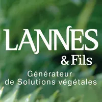 SAS LANNES ET FILS
