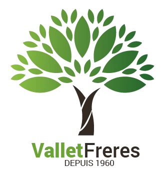 VALLET FRERES