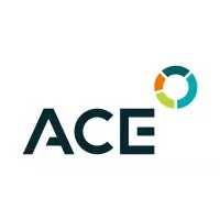 AUDIT ET CONSEILS AUX ENTREPRISES