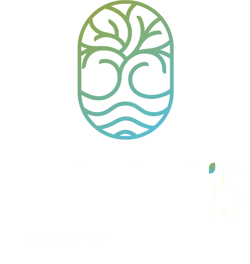 CAMPING LE PARADIS
