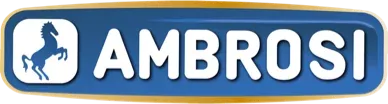 AMBROSI FRANCE