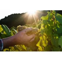 DOMAINE POIRON DABIN