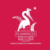 ANCIENNE SOCIETE FLAMINGO COMMUNICATIONS