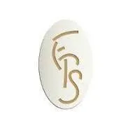 FRANCE PRESTIGE SERVICES