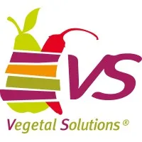 V.S DISTRIBUTION