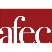 AUDIT FIDUCIAIRE EXPERTISE&CONSEIL (A.F.E.C.)
