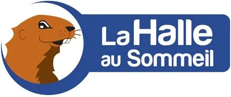 LITERIE BAZAR SERVICES DIFFUSION